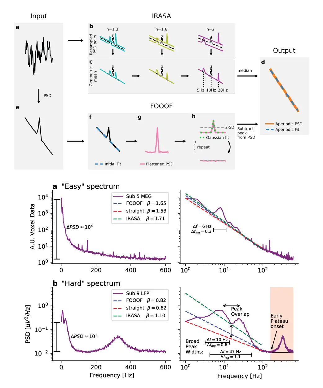 Separating neural oscillations from aperiodic 1/f activity